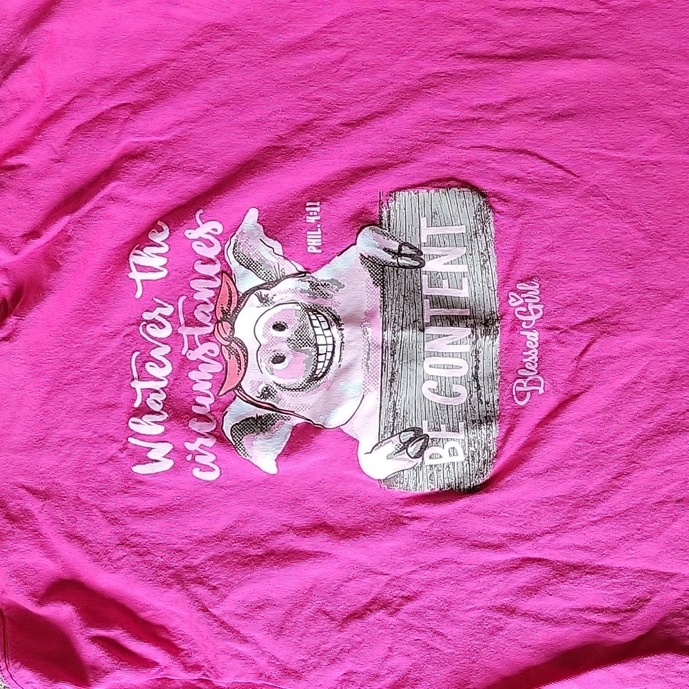 Pig theme Bible verse tshirt